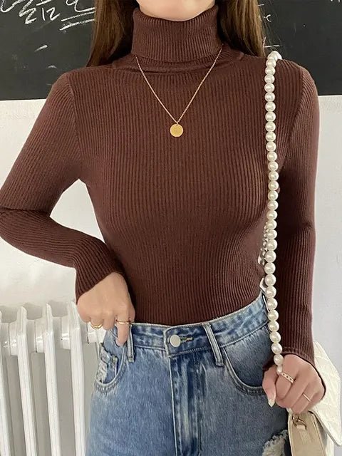 Turtleneck Sweater Knitted Soft Pullovers Cashmere Jumpers 